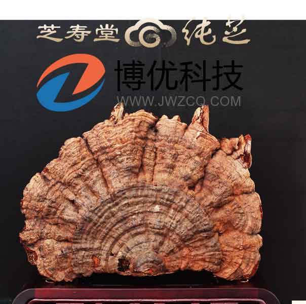 重慶洋世達(dá)實(shí)業(yè)(集團(tuán))有限公司旗下北京芝壽堂健康管理有限公司委托我司網(wǎng)站。正是看中我司強(qiáng)大的技術(shù)團(tuán)隊(duì)和多年的建站經(jīng)驗(yàn)。